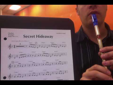 1/3 Penny Whistle Secret Hideaway