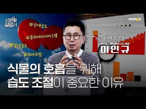 식물도 숨을 쉰다! 습도가 열일하는 식물 심폐소생술｜스마트팜 설명서 EP. 07