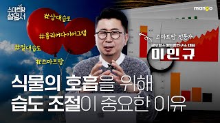 식물도 숨을 쉰다! 습도가 열일하는 식물 심폐소생술|스마트팜 설명서 EP. 07