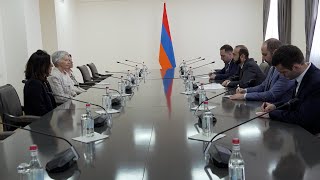 The meeting of the Foreign Minister of Armenia with  the President of the Venice Commission