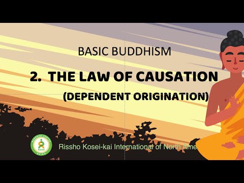 Buddhism for Beginners 2: Law of Causation / Dependent Origination (Animated)  - RKINA