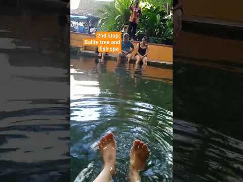 #hashtags 2nd stop balite tree