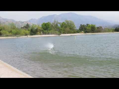 HDV Dennis Poloni MTC Jaguar cat 4 cell