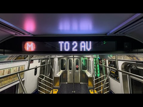 M Train Status