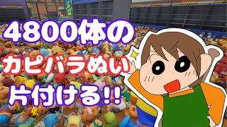 [カピバラを整理しよう！] リア友と雑談しながら4800体のカピバラをお片付け！[初見さん歓迎]