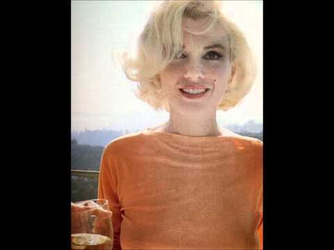 K9 the dog of the bay - Nothings changed