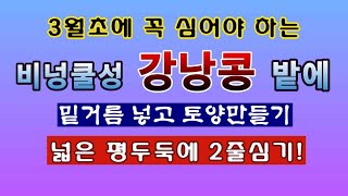 [텃밭농부1,780]  3월초에 심어야 하는 비넝쿨성 강낭콩밭에 밑거름 넣고 토양 만드는 방법 #강낭콩재배