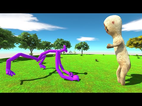 Who Will Win? Rainbow Friends Purple Fight SCP 173 - Animal Revolt Battle Simulator