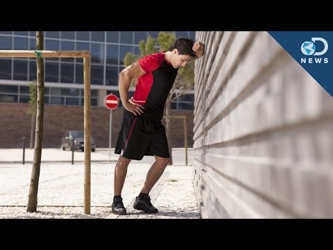 【英語で雑学】逆効果かも！？運動しすぎが身体に良くない理由とは？