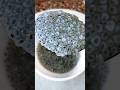 How To Soak Sabja Seeds Sabja Seeds Drink Shorts Viralvideo Chiaseeds Chiaseedsdrink Food