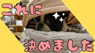 AIR BUGGYでワンコのカートを新調してきたよ！😎