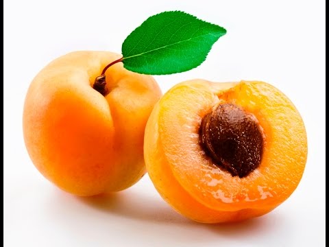 Noyau Abricot germination, faites pousser vos propres abricots.