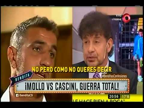 ¡Mollo vs. Cascini, guerra total!