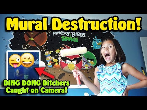MURAL DESTRUCTION!!! Ding Dong Ditch Caught on Camera! Video