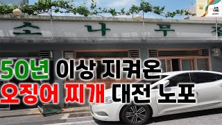 50년된 노포 오징어찌개 '소나무집' |중앙로역맛집|온통대전 사용후기