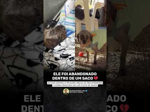 ELE SOBREVIVEU, CONHEÇA O MILAGRE!