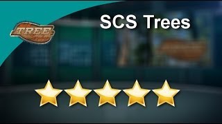 preview picture of video 'Acworth Tree Service Experts - SCS Trees - Great 5 Star Review by Steve in Acworth GA'