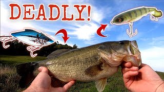 These Two Lures Are a MUST Have For Catching BIG Large Mouth Bass
