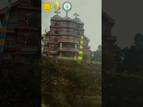 Petualangan Taruna Polbangtan Manokwari Di Hutan Lindung Gunung meja Manokwari Papua barat