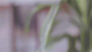 Gustavo Cerati Especie Videoclip