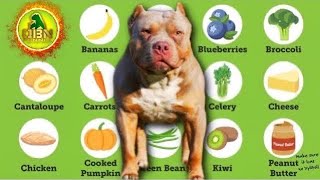 Foods Dogs Can and Can Not Eat