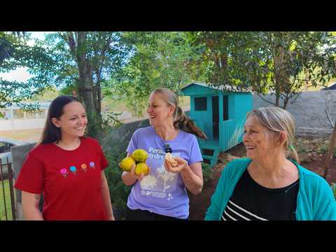TOUR NA HORTA DA MINHA MÃE: Ela colhe de tudo aos 73 anos! 🌿