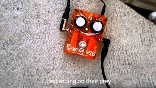 Video thumbnail for Paradox Effects Fuzz E Cat by iRerror