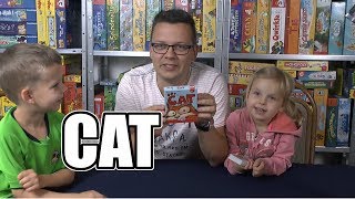 Kartenspiel The Cat (Amigo) - ab 8 Jahre - hektisches Kartenablespiel mit witzigen Illustrationen