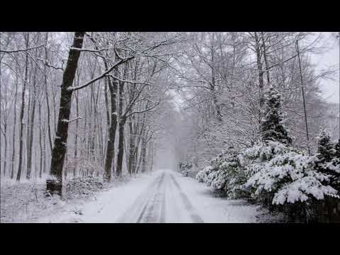 Der Niederrhein - What a wonderfull World