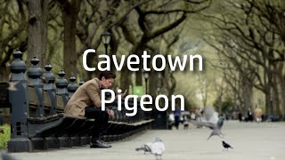 Cavetown | Pigeon {lyrics}
