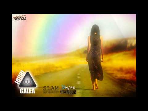 OQ - Calea (prod. Ceinaru Beats)