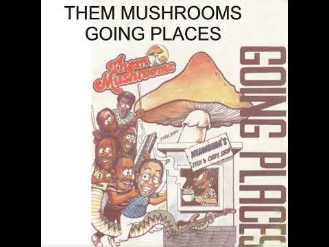 Them Mushrooms - Nyambura (Official Audio) | Blue Pie Records | Benga