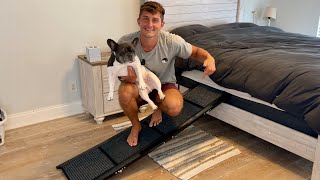 Heavy Duty Dog Car Ramp Review