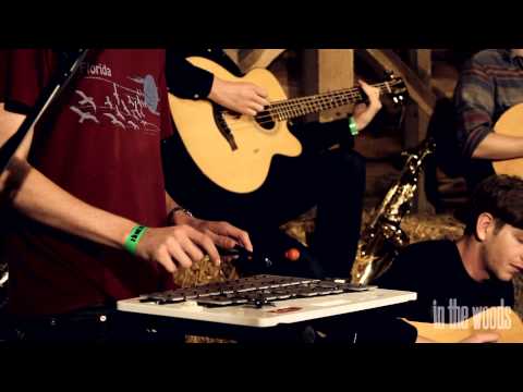 Dog Is Dead - 'Talk Through The Night' - In The Woods 2012 Barn Sessions