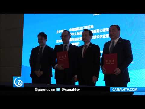 Presentación de la 6ta Exposición Internacional de Importaciones de China en México