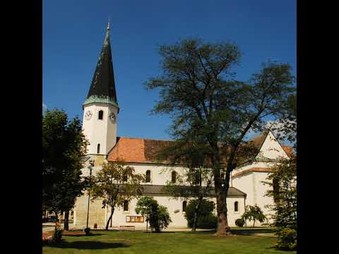 Hl. Messe am 14.8.2022 - 10 Uhr - Kurzprobe