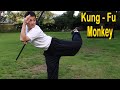 5 Bo Staff Moves to Master Monkey Style - Kung Fu Monkey 🙊