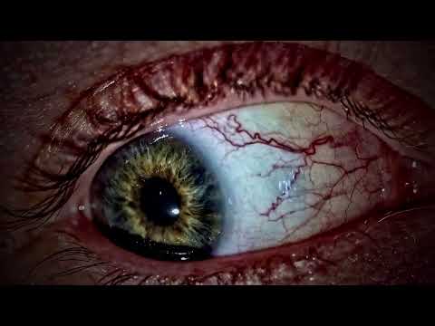 Mephorash - Chrysallís (Official Music Video)