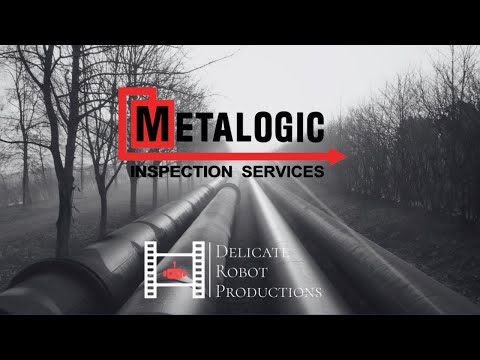 Hiring Video for Metalogic Inspection Services