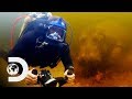 Close Underwater Encounter With A Dangerous Wild Hippo Swimming With Monsters
