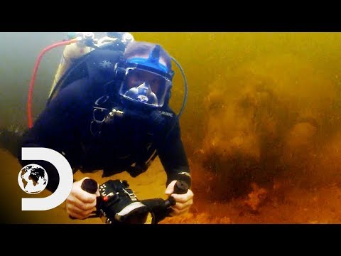 危険な野生のカバとの接近遭遇｜モンスターと泳ぐ (Close Underwater Encounter With A Dangerous Wild Hippo | Swimming With Monsters)