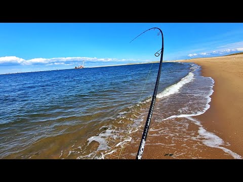 Catch and Cook Fluke Curry - Flounder Fishing Limit from Shore