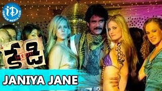 Kedi Telugu Movie - Janiya Jane Video Song || Nagarjuna, Mamata Mohandas || Sandeep Chowta