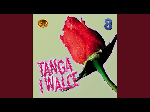 Płonie ognisko w lesie