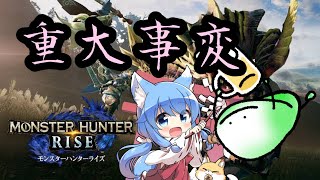 【MHrise】重大事変をクリアする【雑談狩り】
