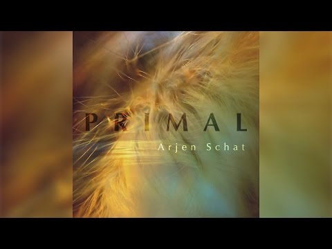 Arjen Schat | Primal (Continuous Flux)