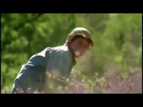 Extrait 1 : Le Temps des secrets