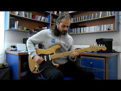 T-Bone Walker - Two bones and a pick (solo playthrough)