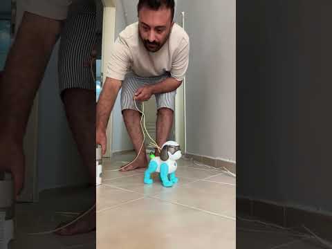 Robot Köpek 😁