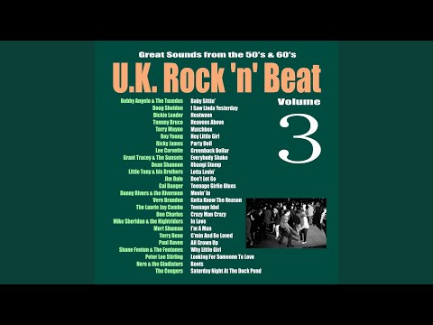 [She's in Love with A] Teenage Idol